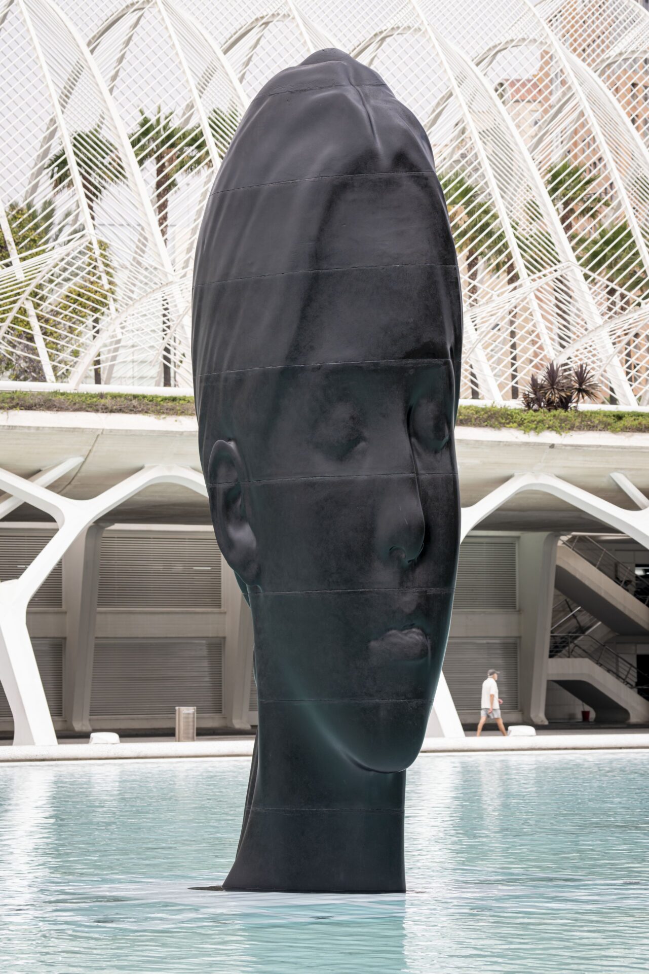 Silvia | Jaume Plensa | Centro de Arte Hortensia Herrero